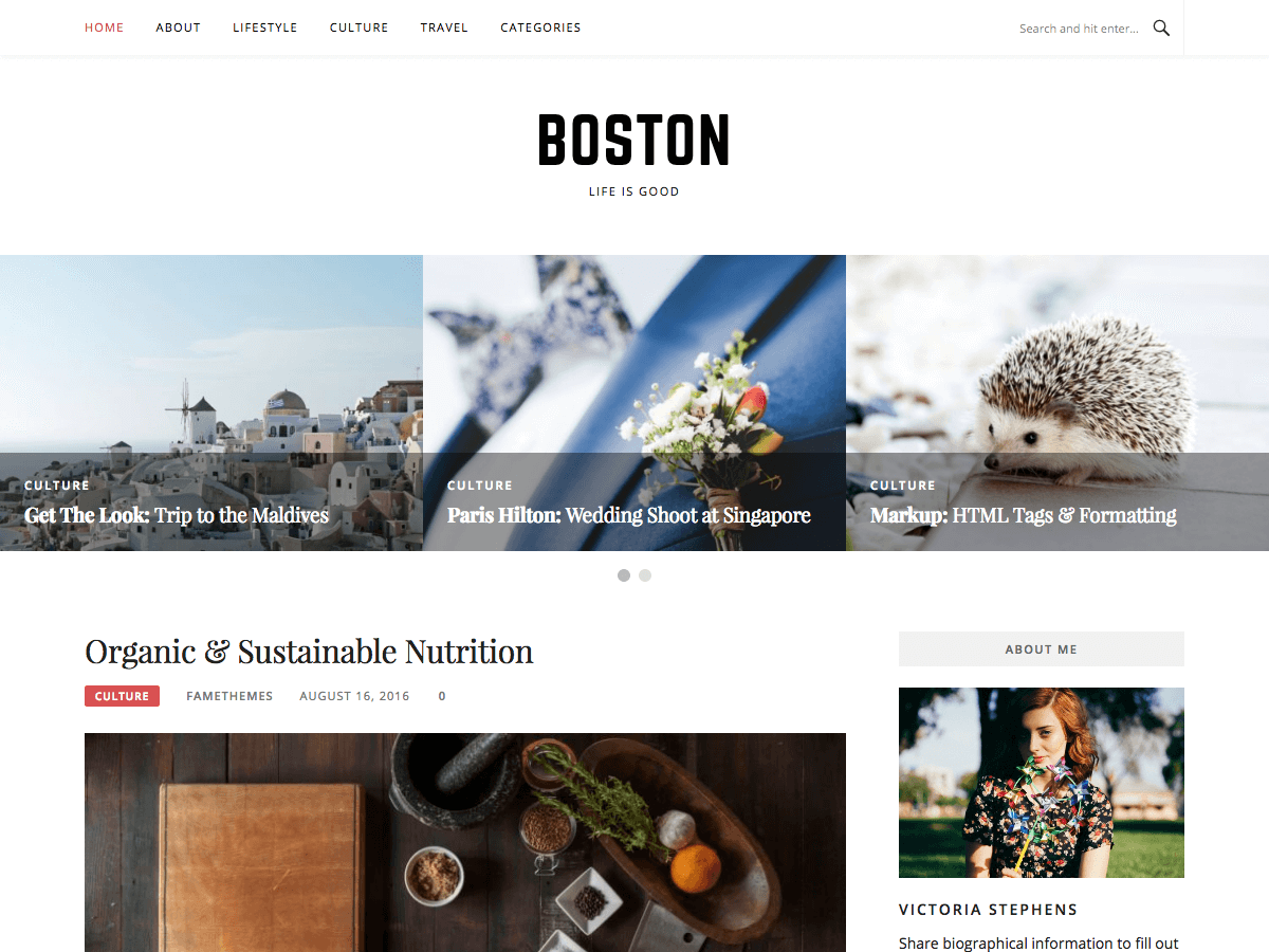 Boston theme screenshot