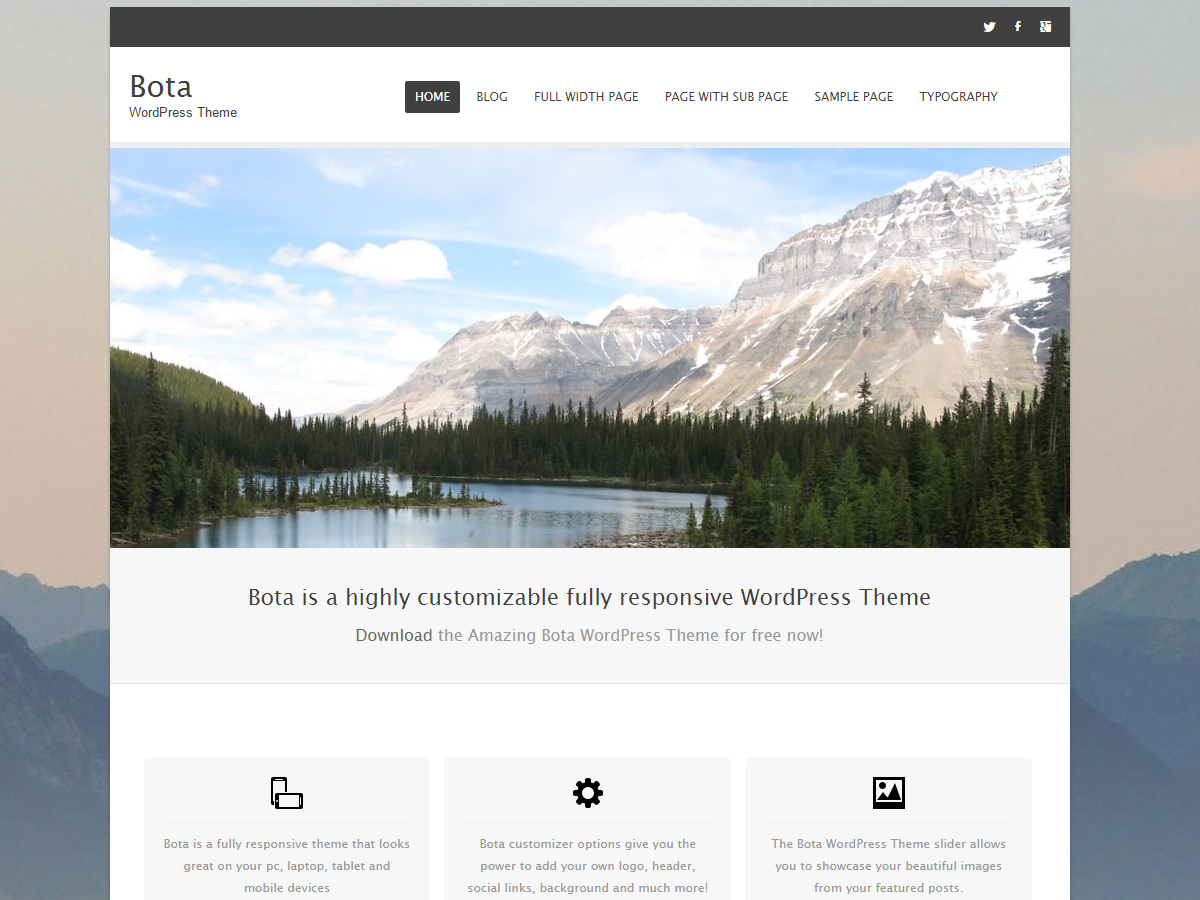 Bota theme screenshot