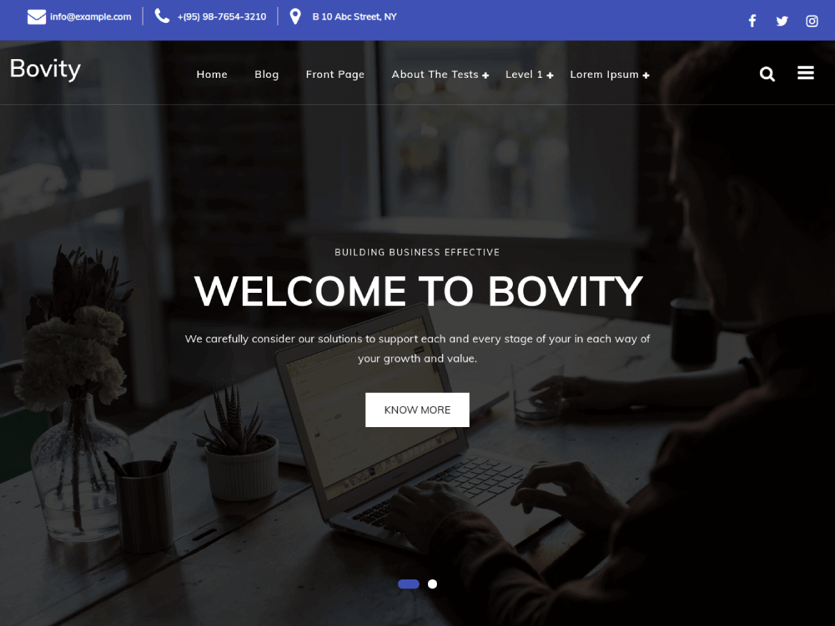 Bovity theme screenshot