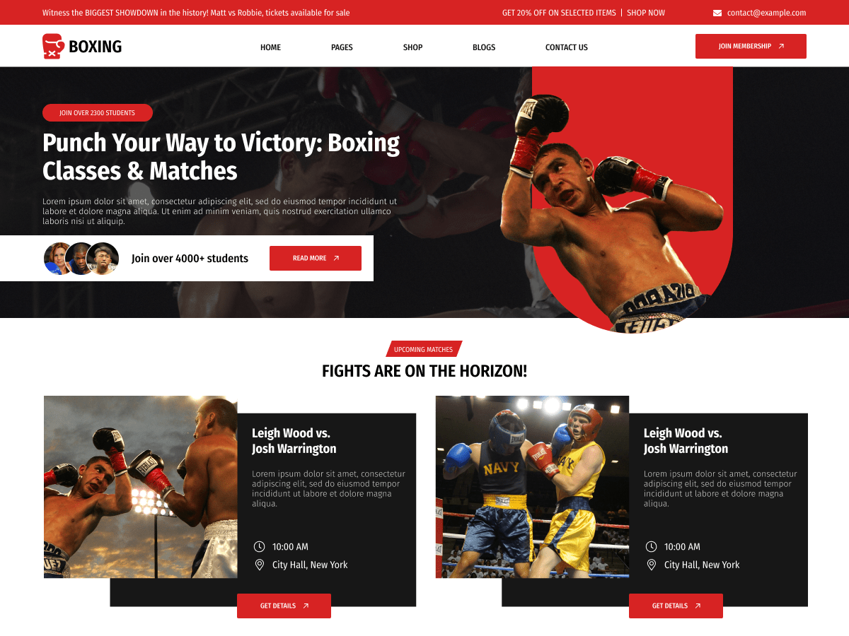 Boxing Martial Arts theme screenshot