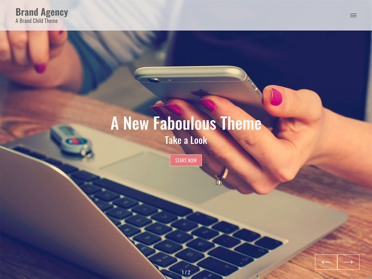 Brand Agency theme screenshot