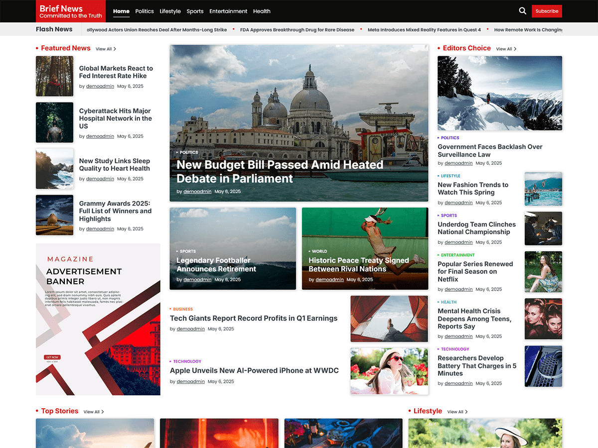 Brief News theme screenshot