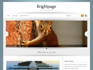 Brightpage theme screenshot
