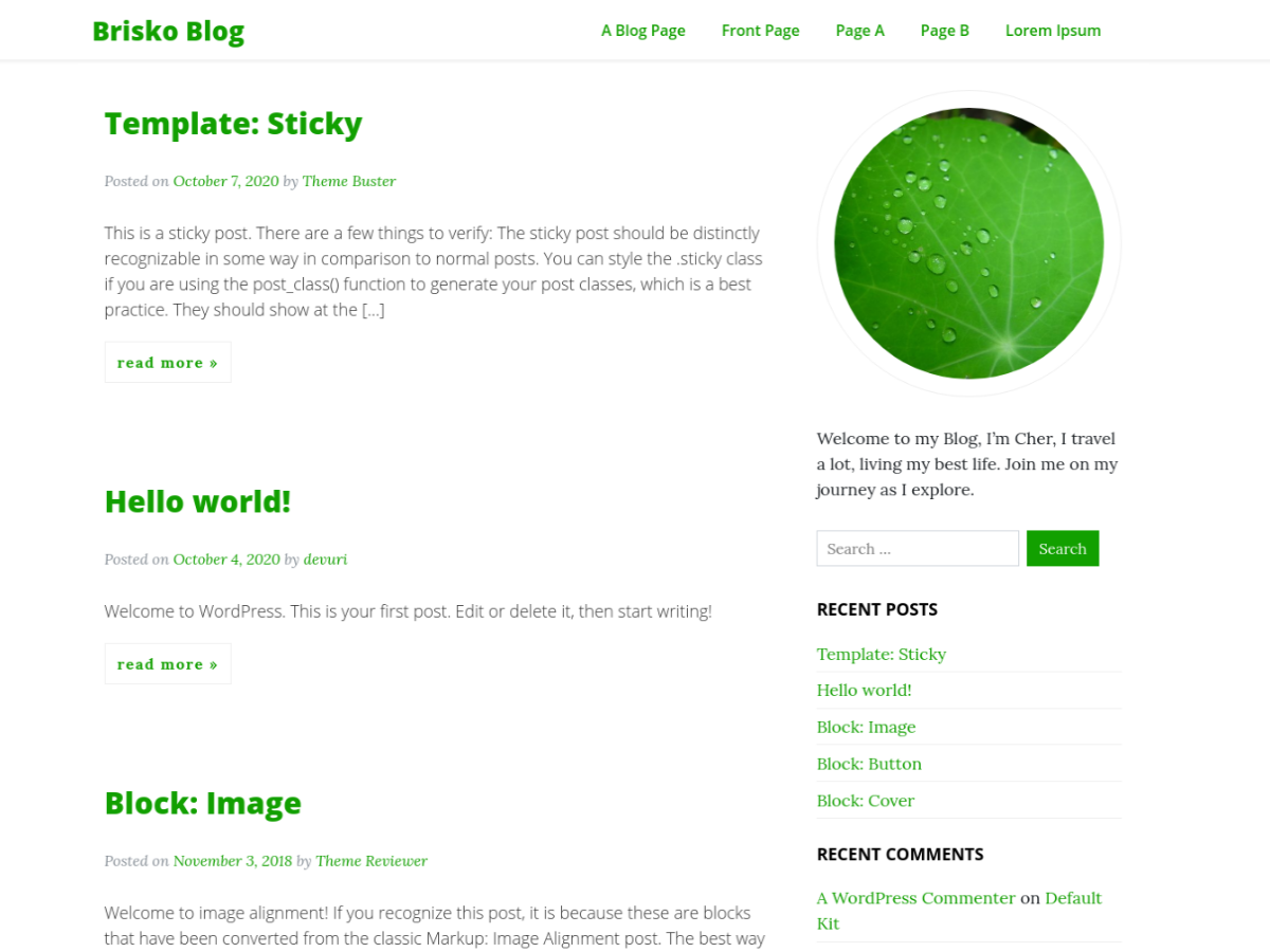 Brisko Blog theme screenshot