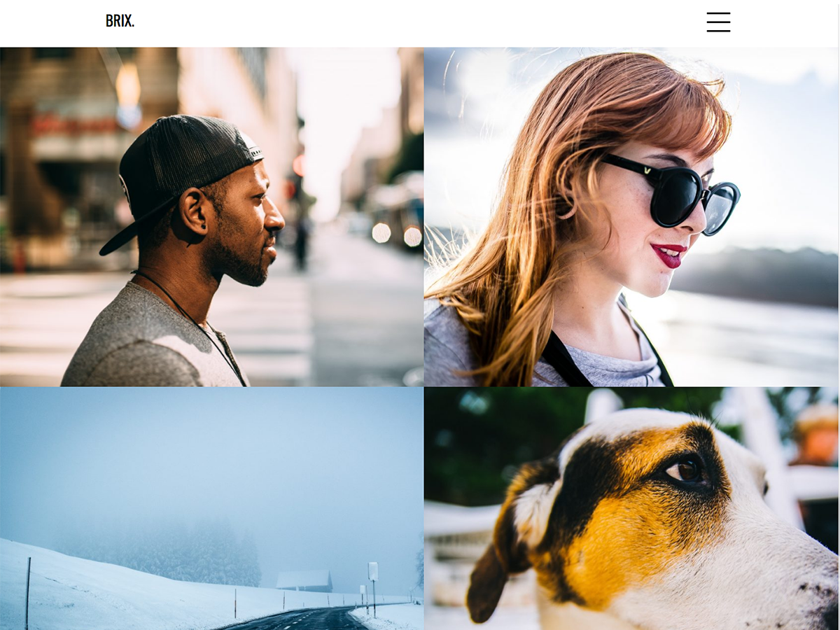 Brix Portfolio theme screenshot