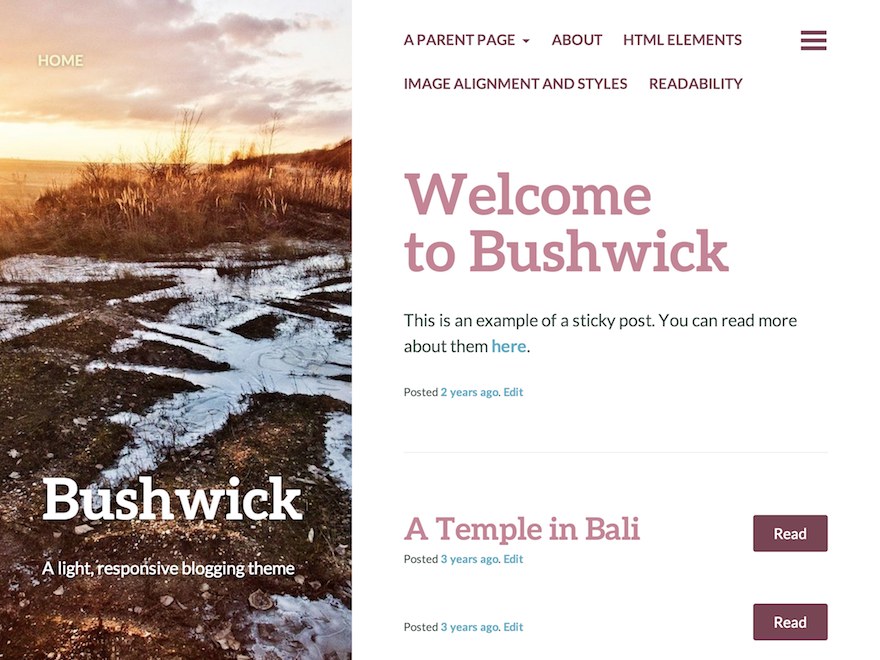 Bushwick theme screenshot