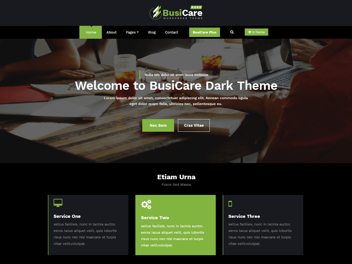 BusiCare Dark theme screenshot