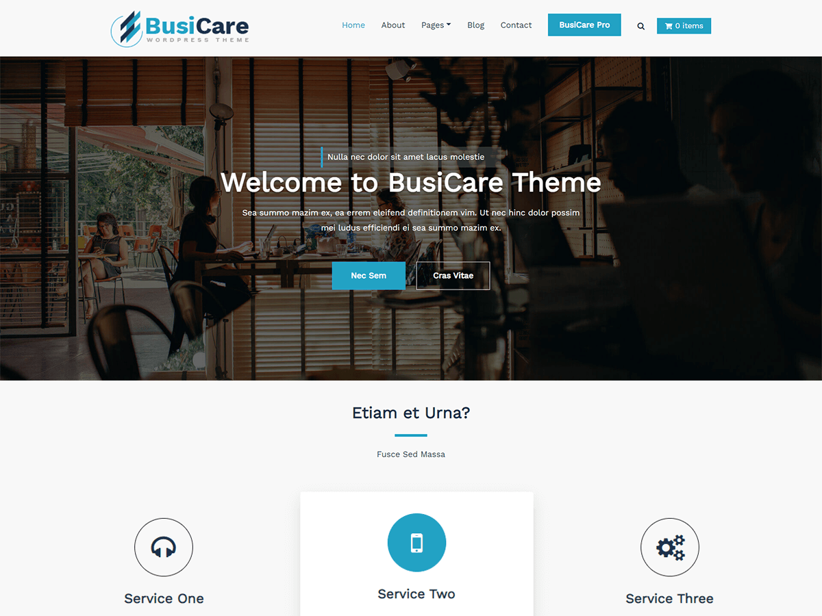 BusiCare theme screenshot