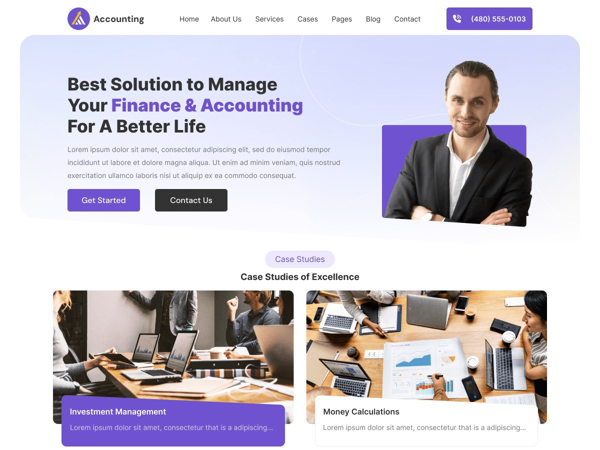 Business Accountant theme screenshot