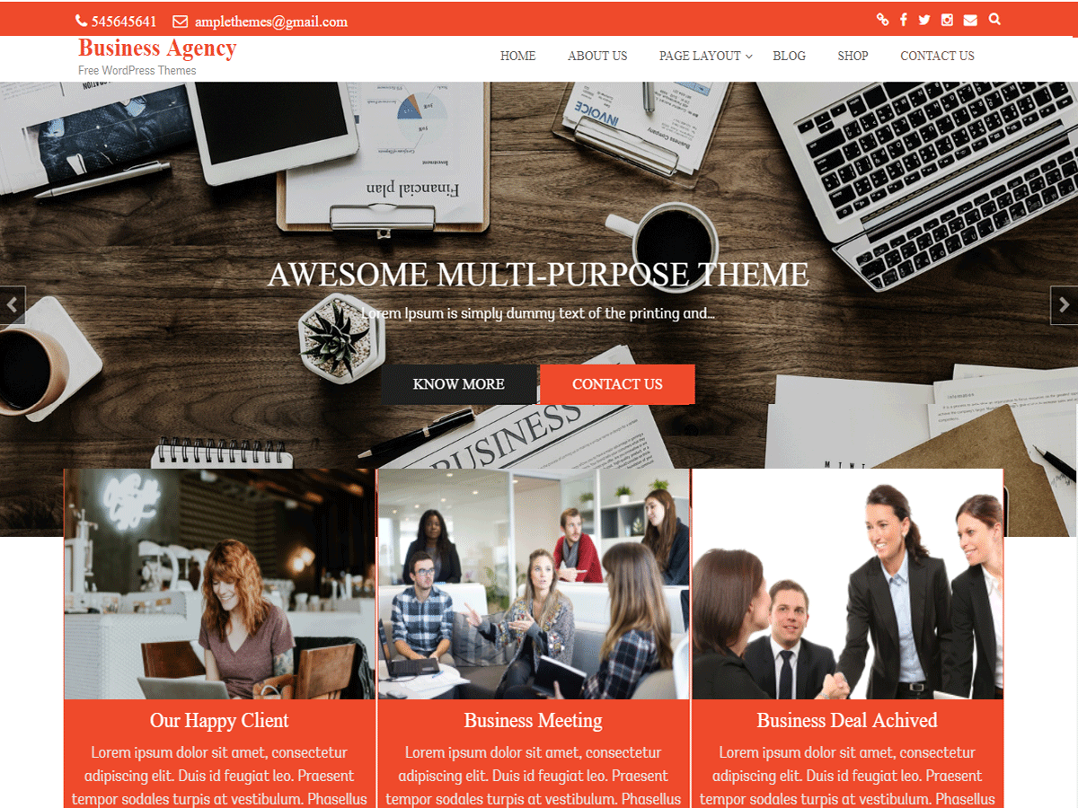 Business Agency theme screenshot
