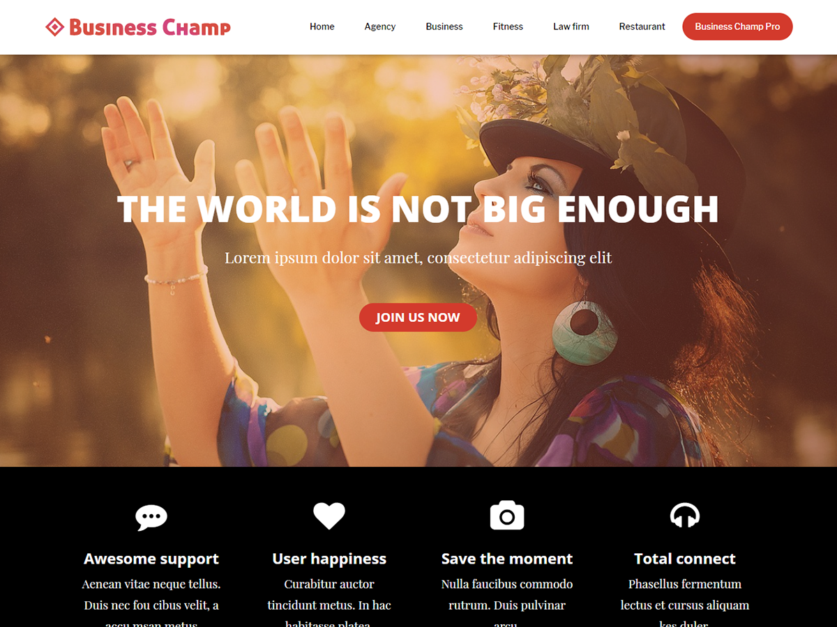 Business Champ theme screenshot