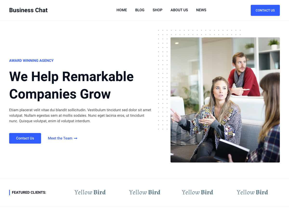 Business Chat theme screenshot
