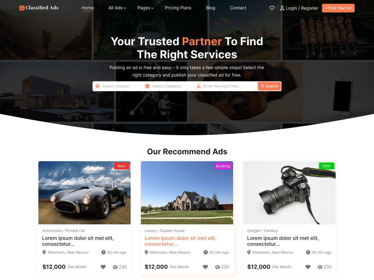 Business Classified Ads theme screenshot