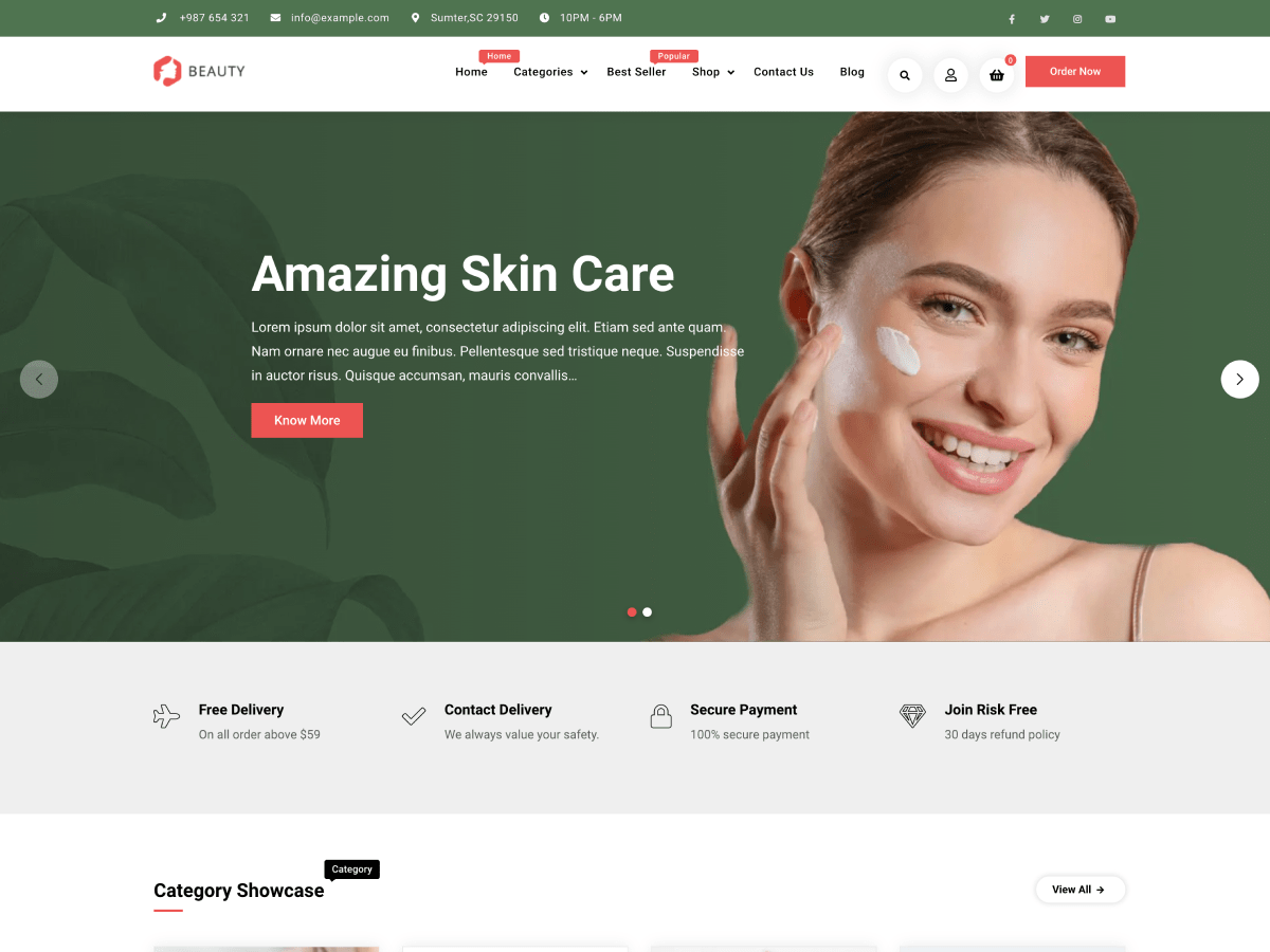 Business Commerce Lite theme screenshot
