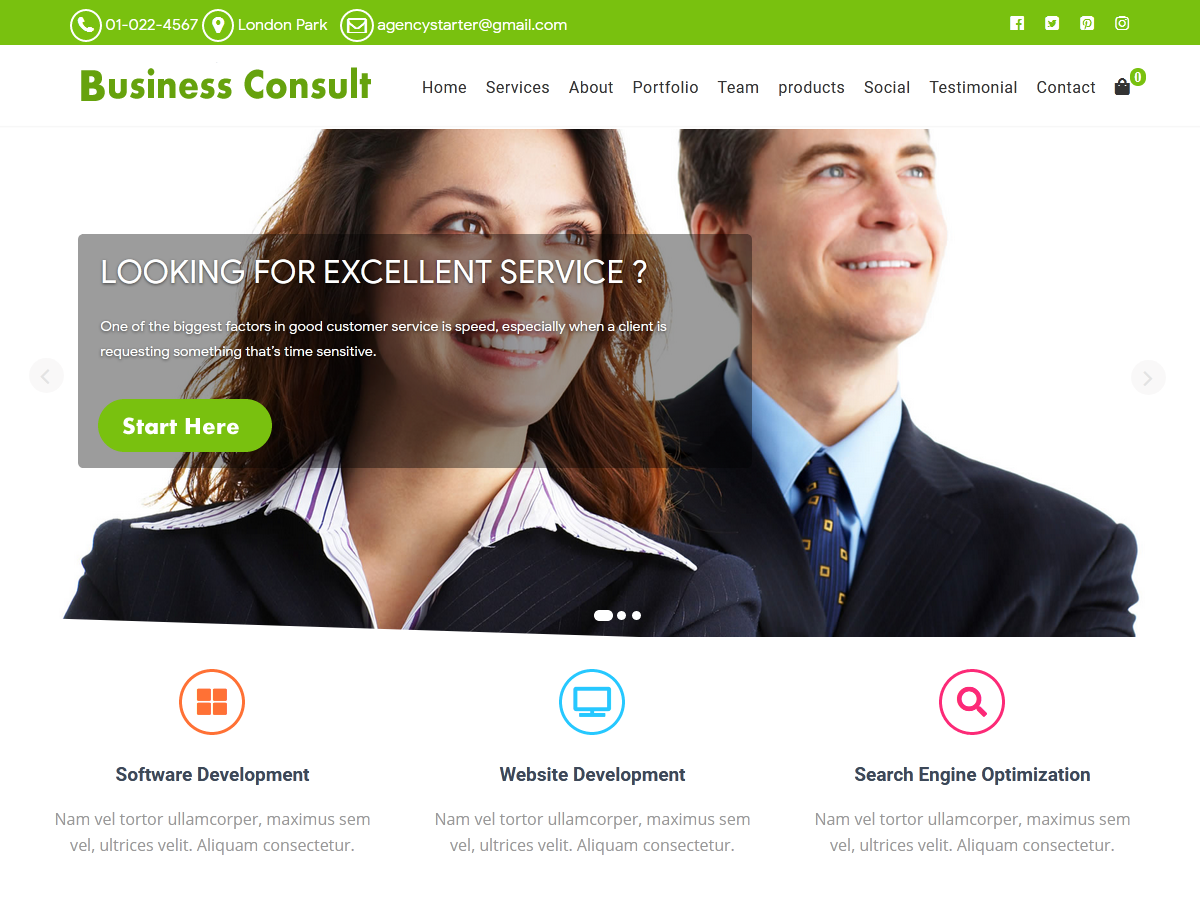 Business Consult theme screenshot