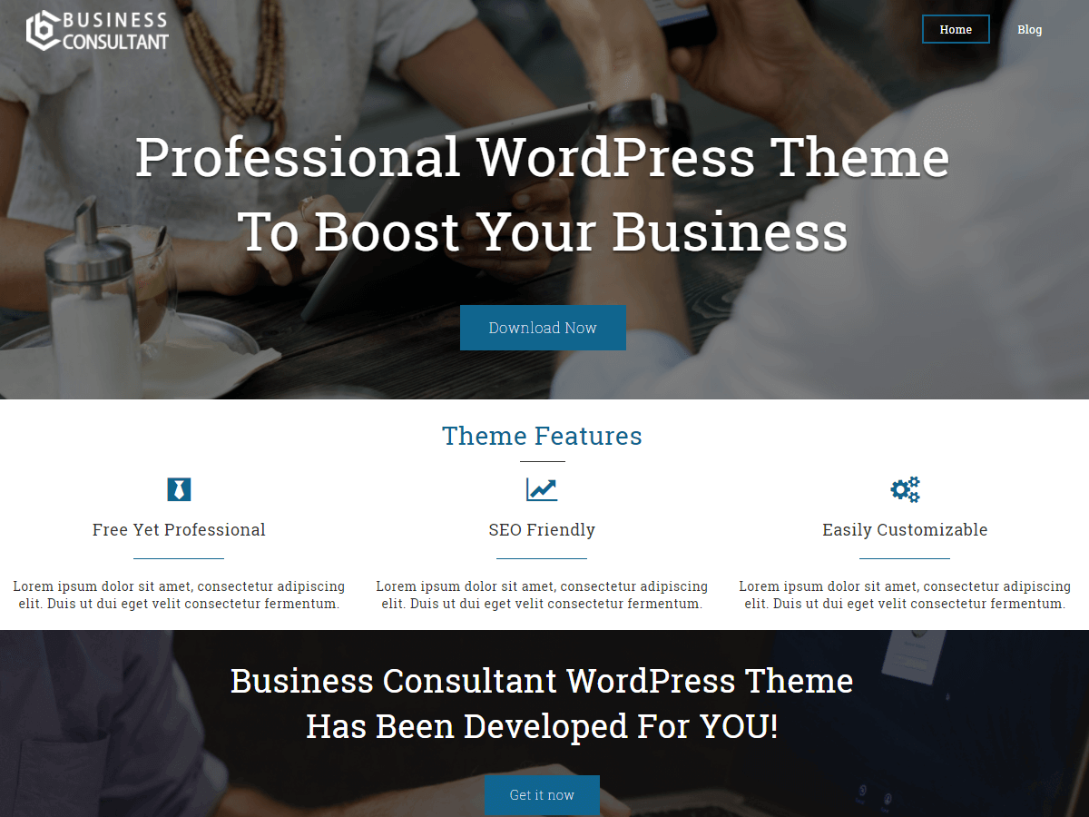 Business Consultant theme screenshot