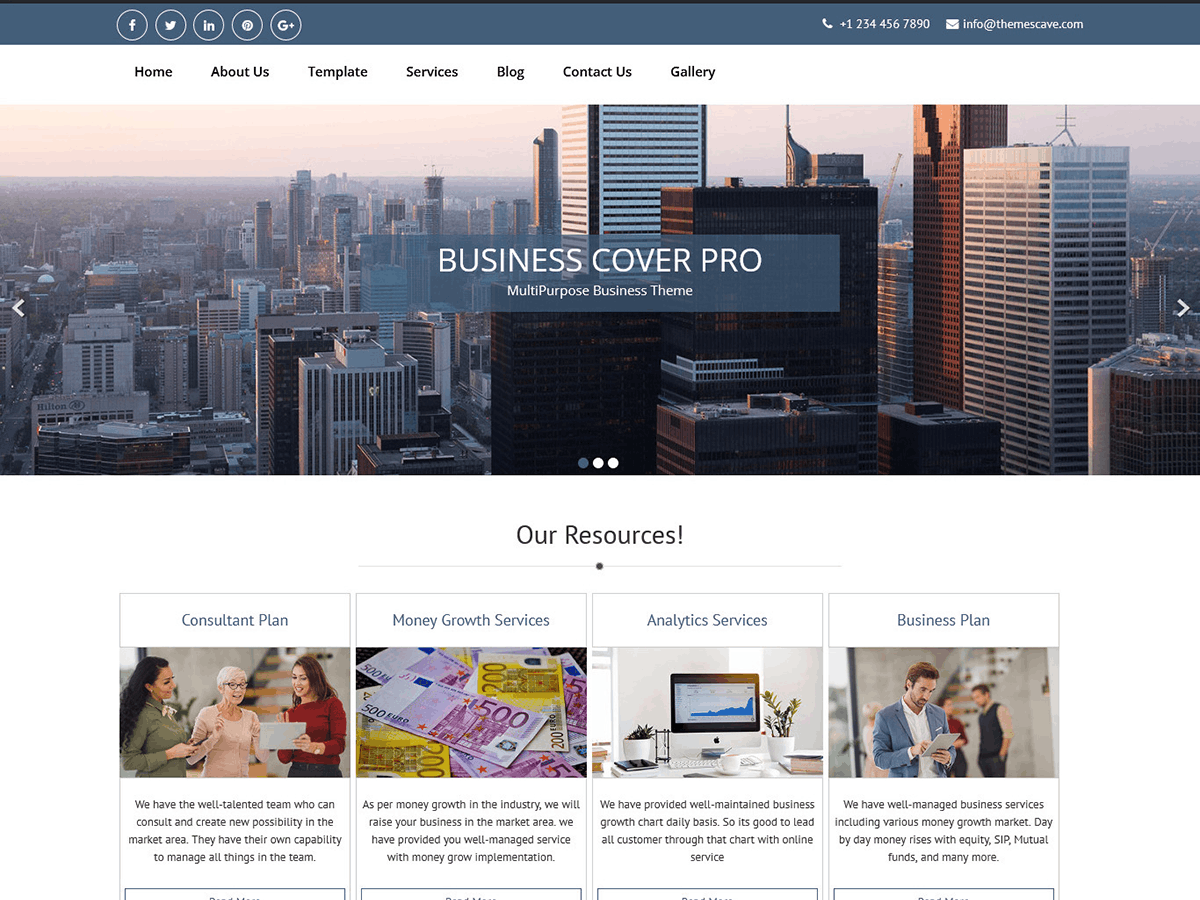 Business Cover Lite theme screenshot