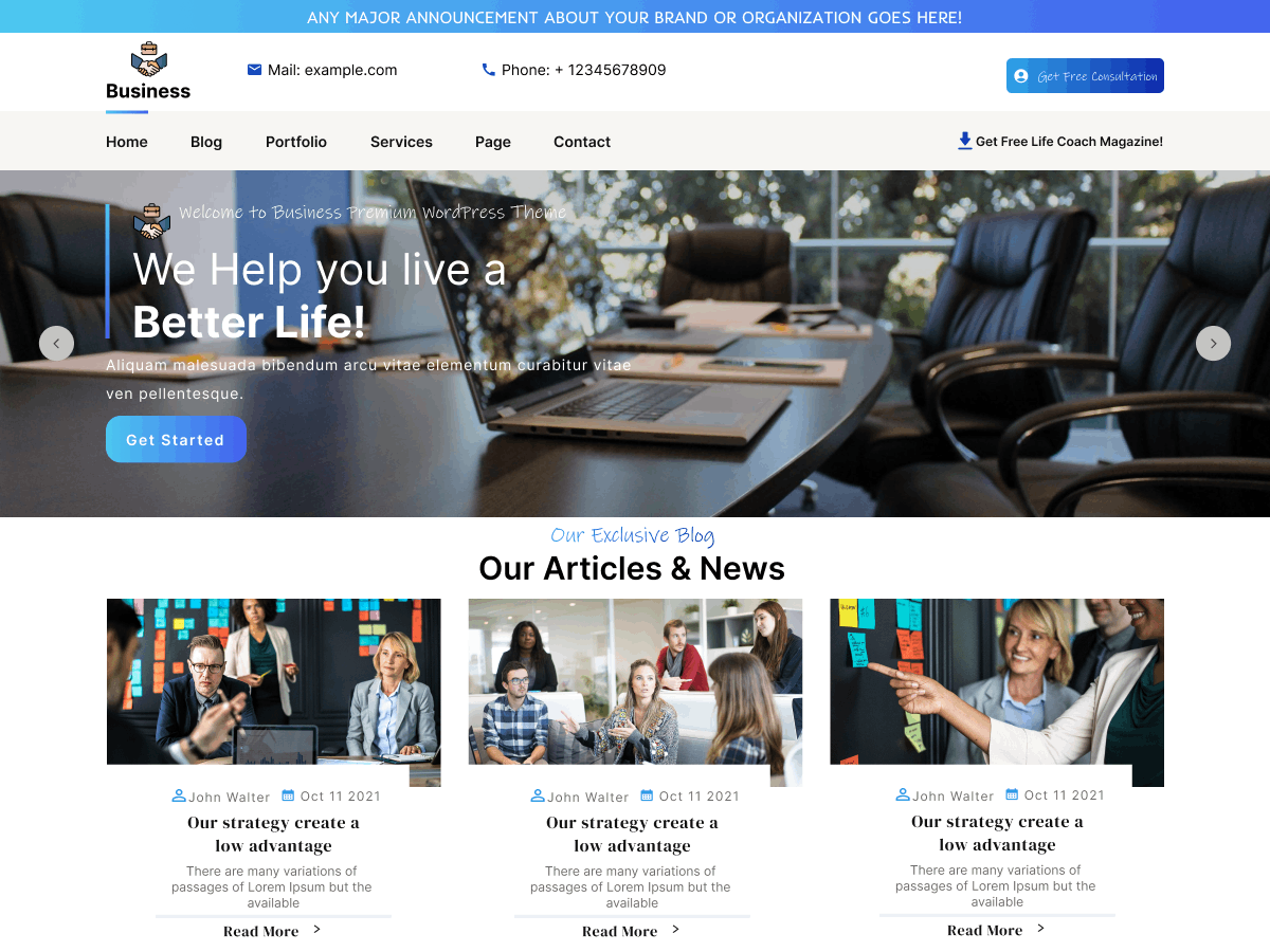 Business Development Coaching theme screenshot