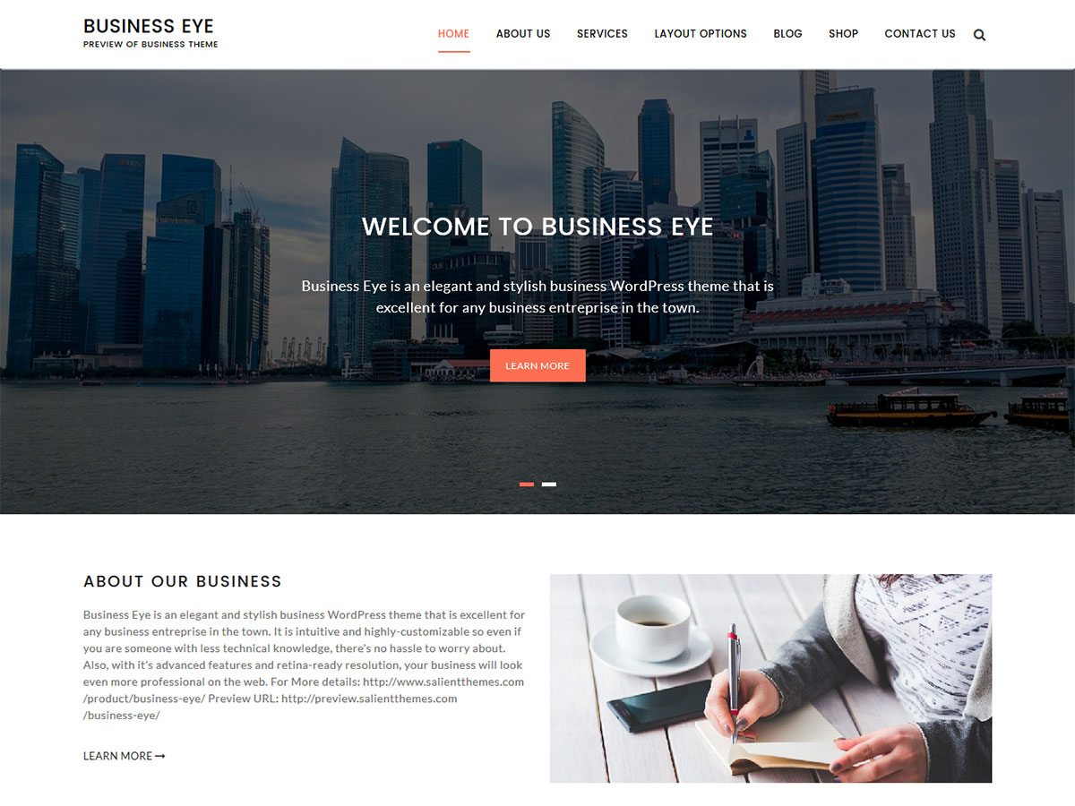 Business Eye theme screenshot