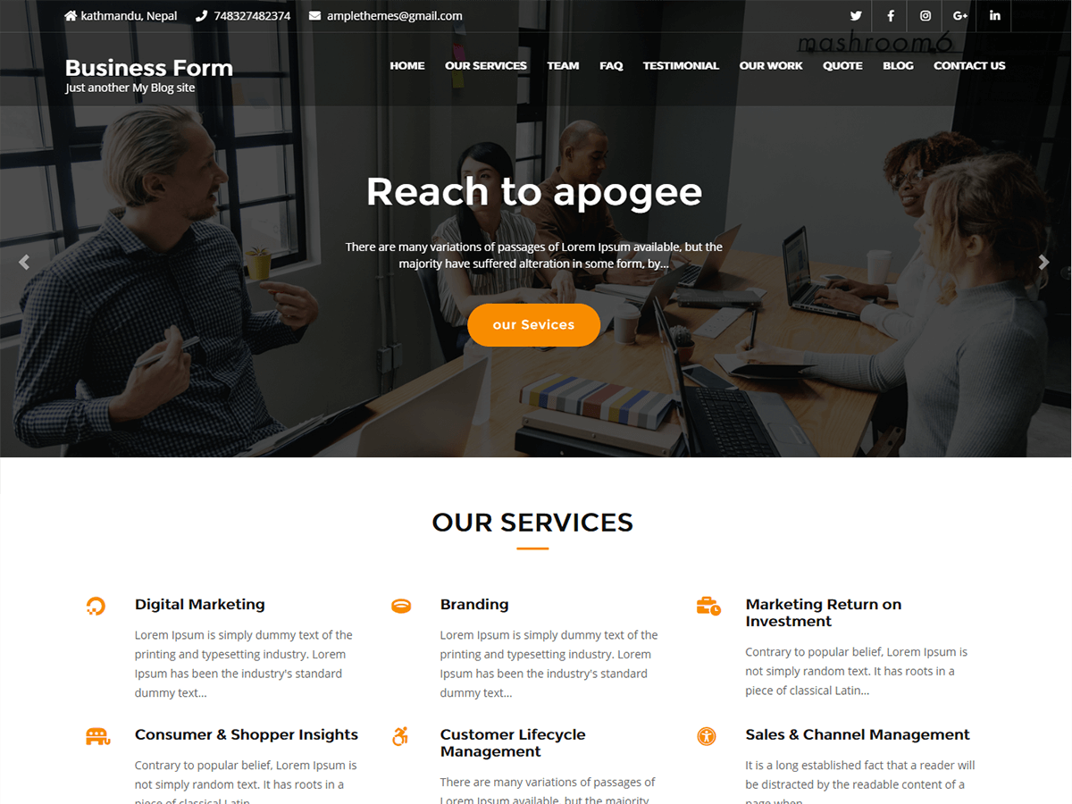 Business Form theme screenshot