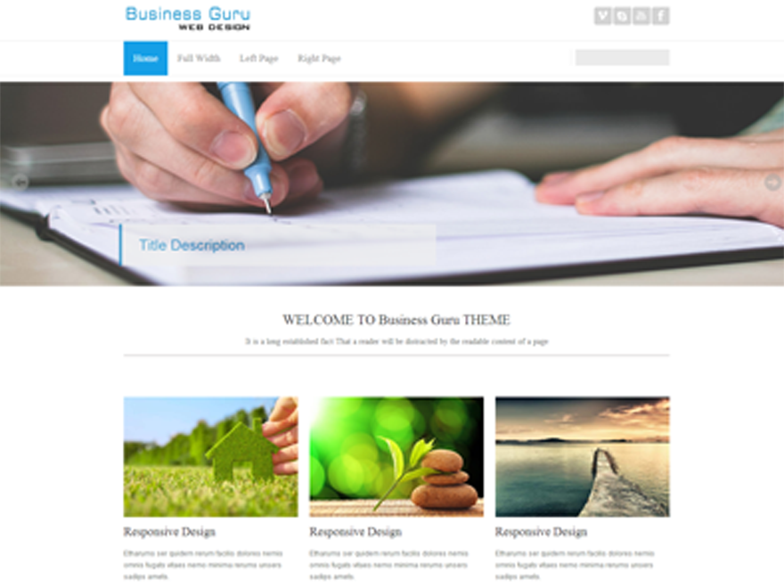 Business Guru theme screenshot