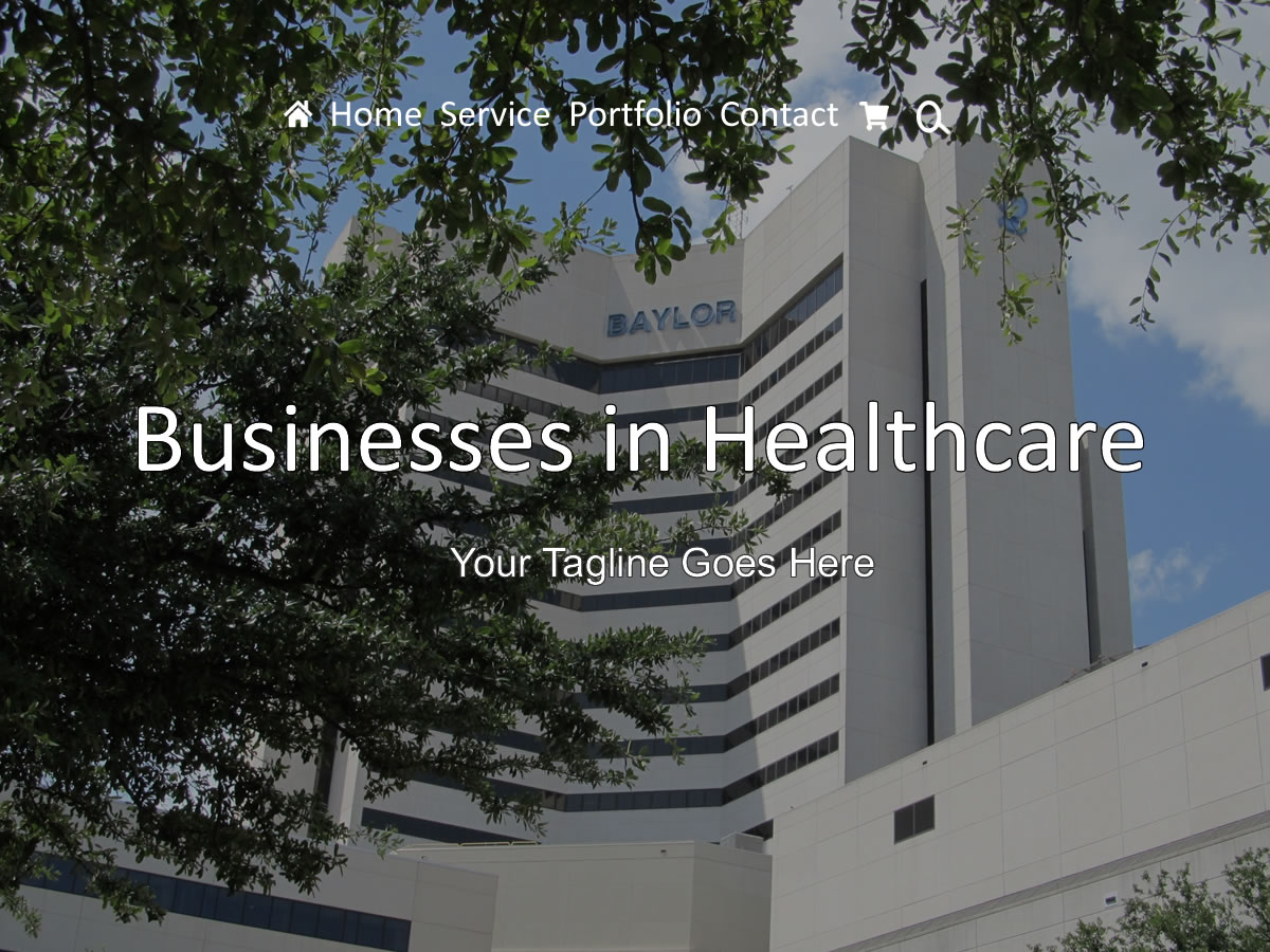 Business Health theme screenshot