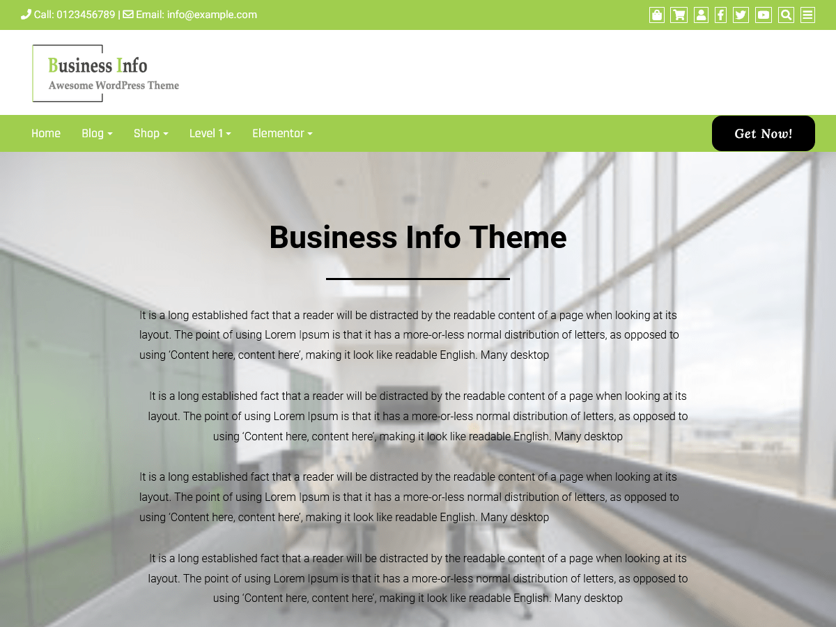Business Info theme screenshot