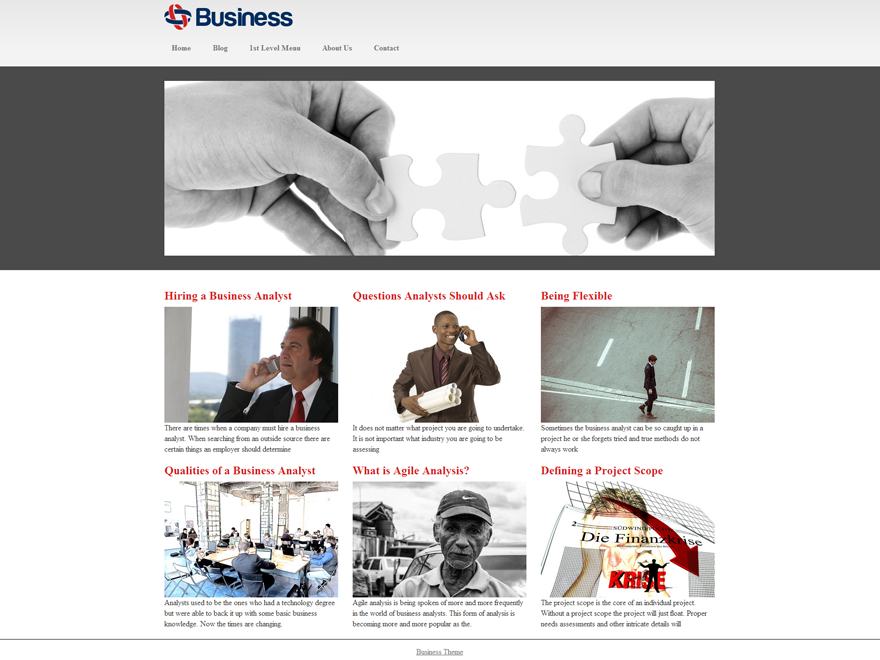 Business Mind theme screenshot