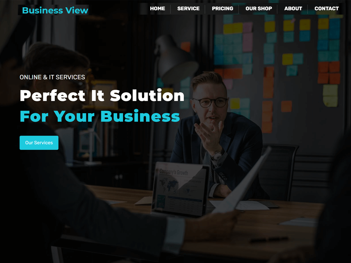 Business View theme screenshot