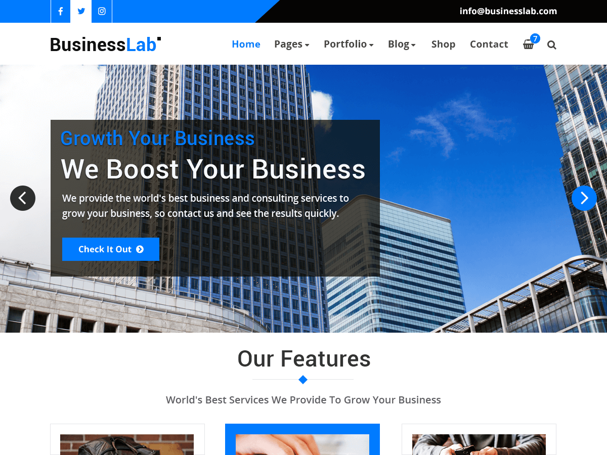BusinessLab theme screenshot