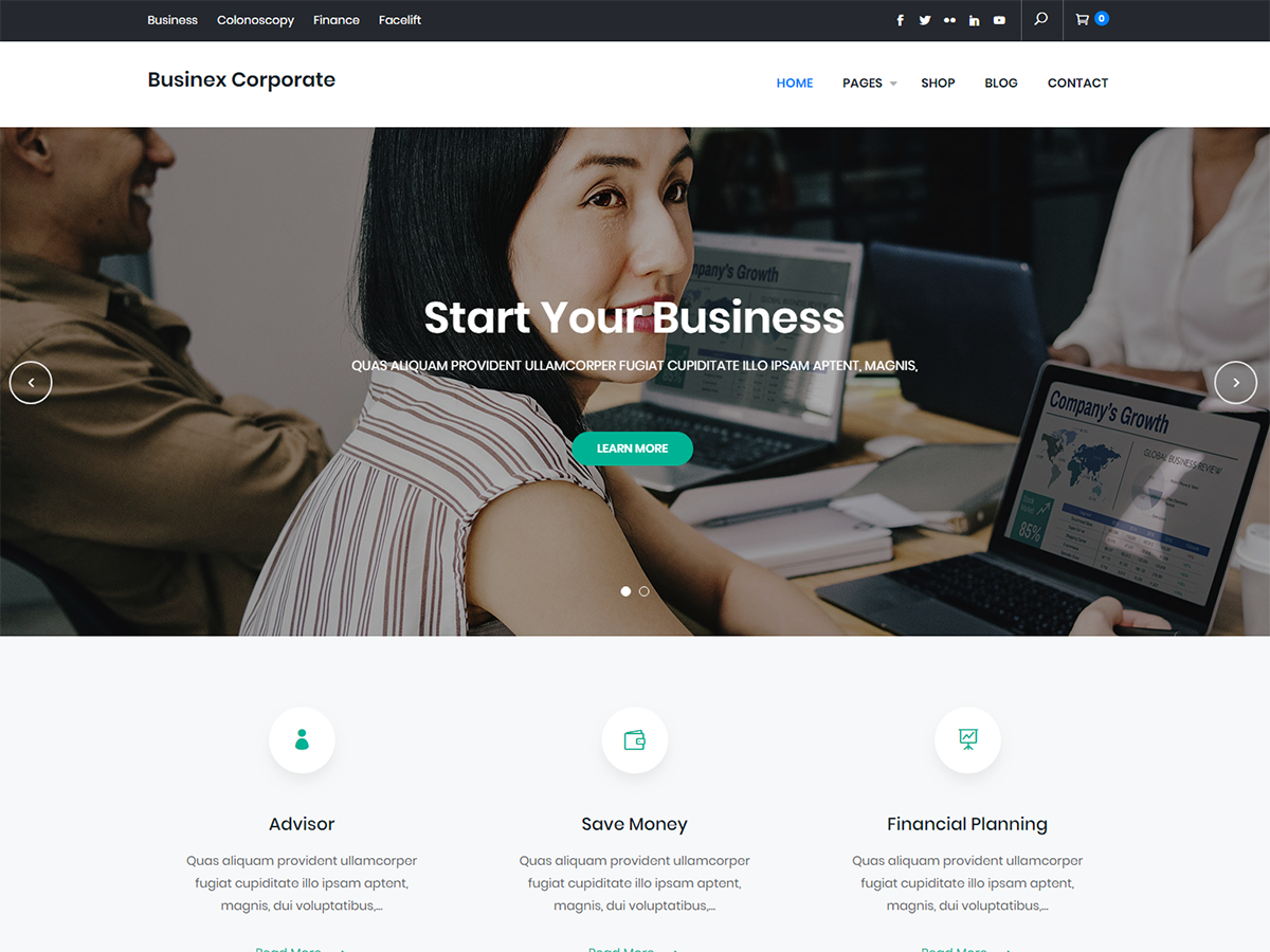 Businex Corporate theme screenshot
