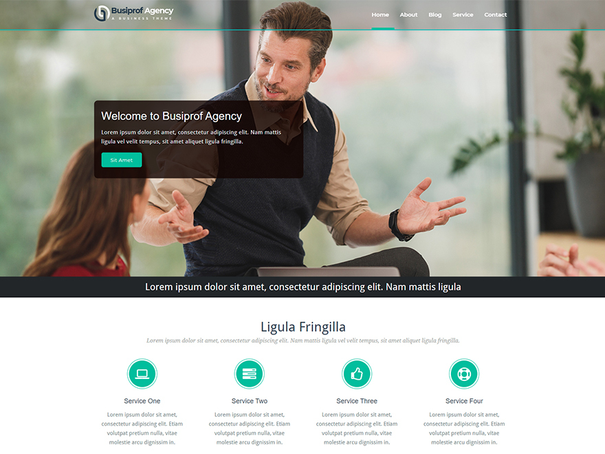 Busiprof Agency theme screenshot