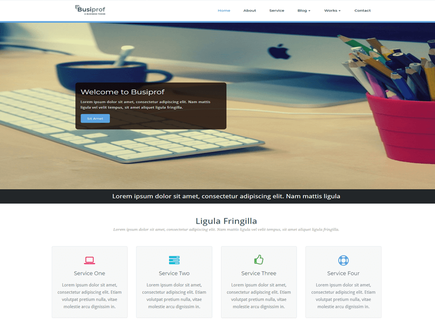 Busiprof theme screenshot