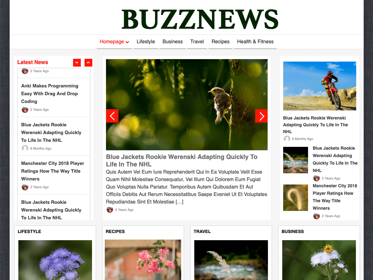 BuzzNews theme screenshot