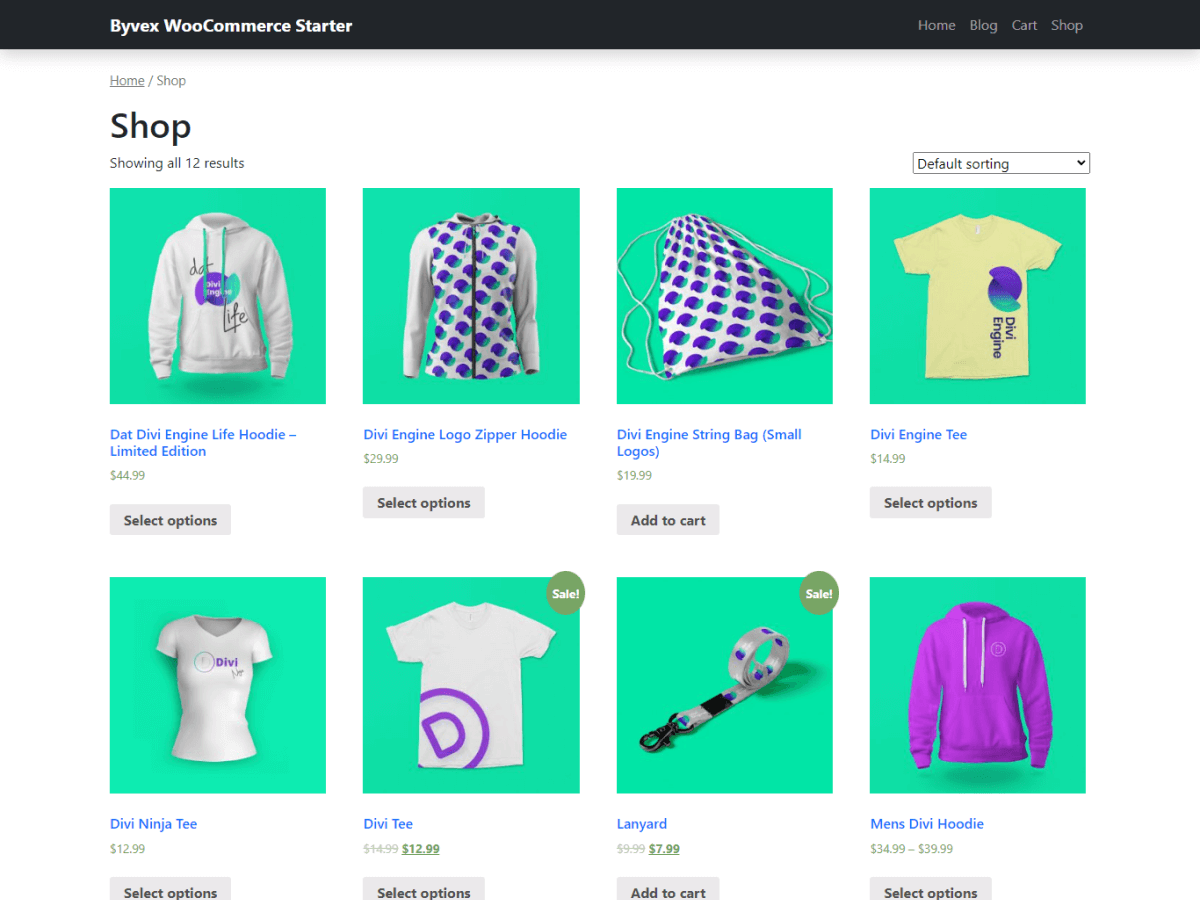 Byvex WooCommerce Starter theme screenshot