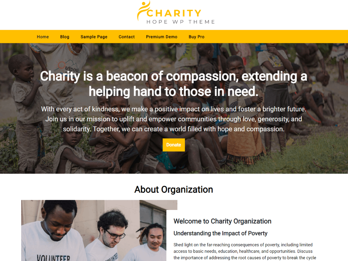 CA Charity Hope theme screenshot