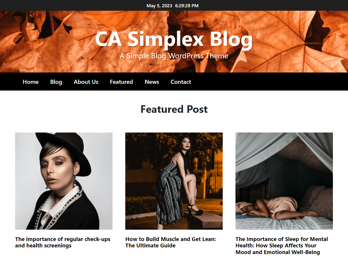 CA Simplex Blog theme screenshot
