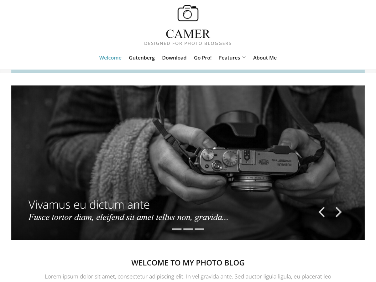 Camer theme screenshot