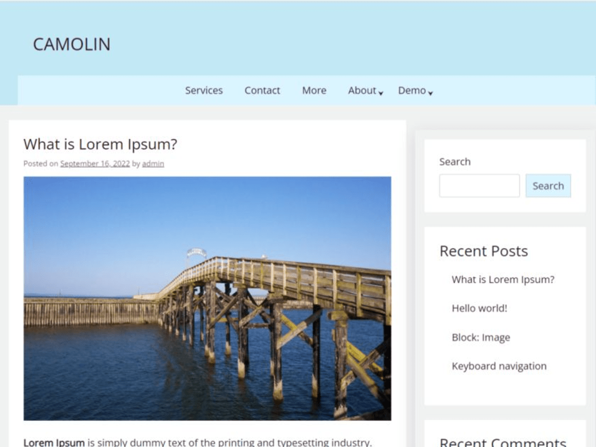 camolin theme screenshot