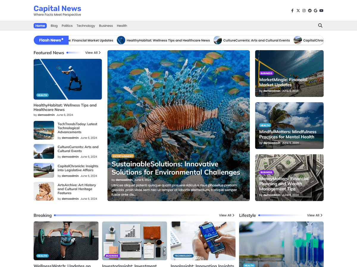 Capital News theme screenshot