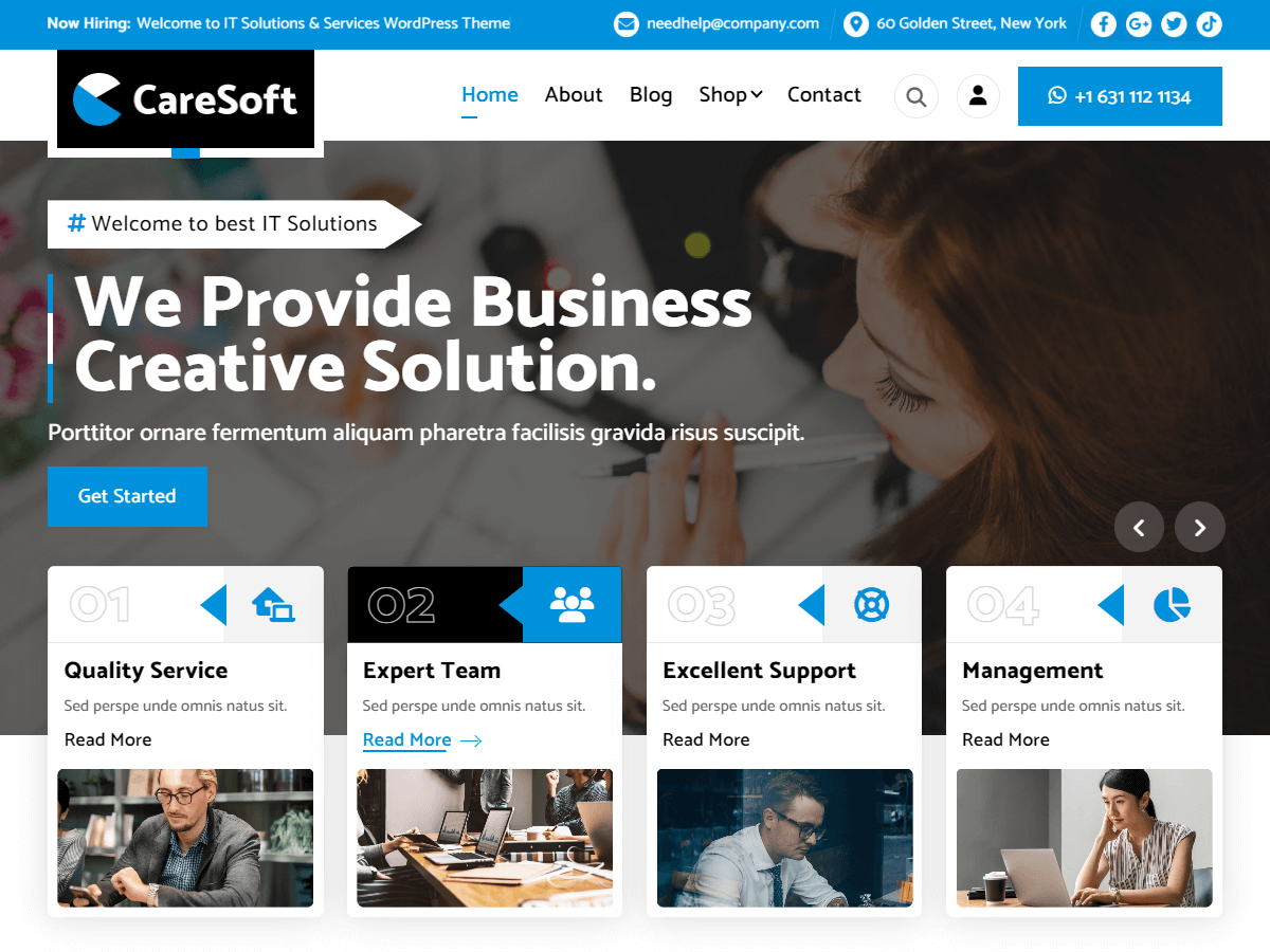 CareSoft theme screenshot