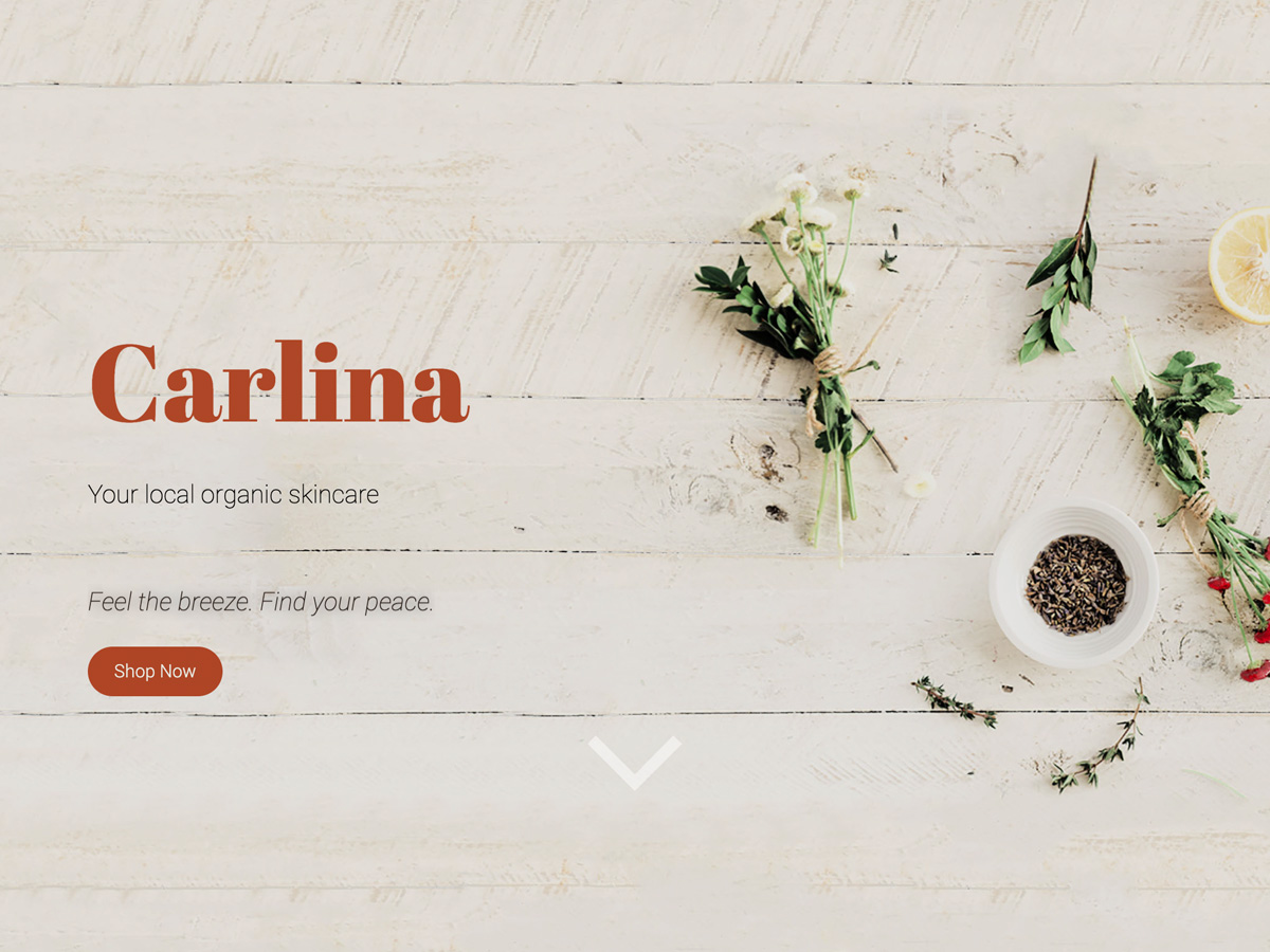 Carlina theme screenshot