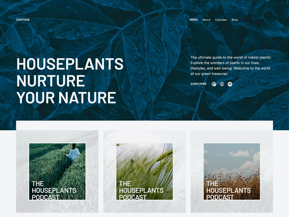 Casthub theme screenshot