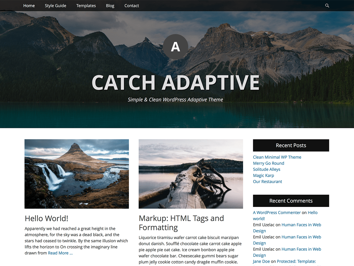 Catch Adaptive theme screenshot