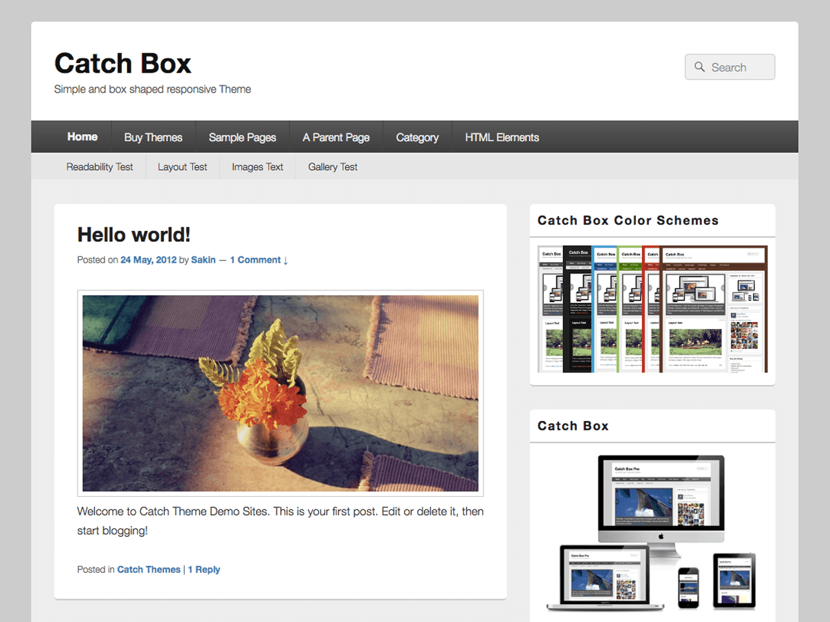 Catch Box theme screenshot