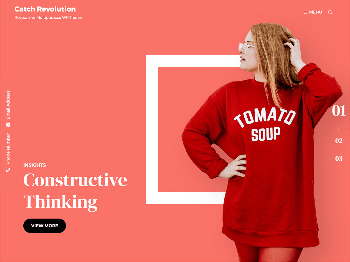 Catch Revolution theme screenshot