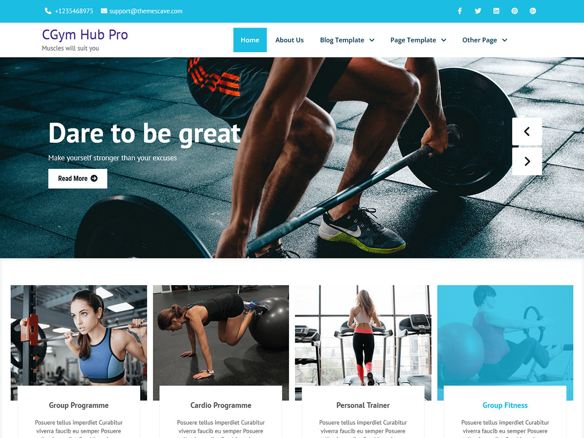 CGym Hub Lite theme screenshot