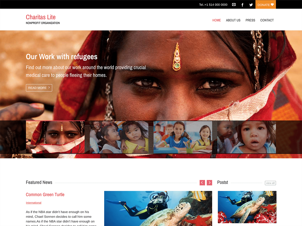 Charitas Lite theme screenshot