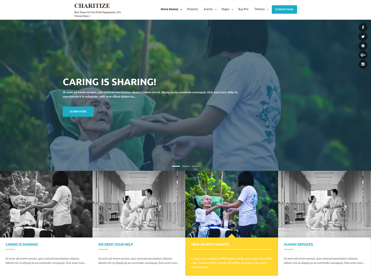 Charitize theme screenshot