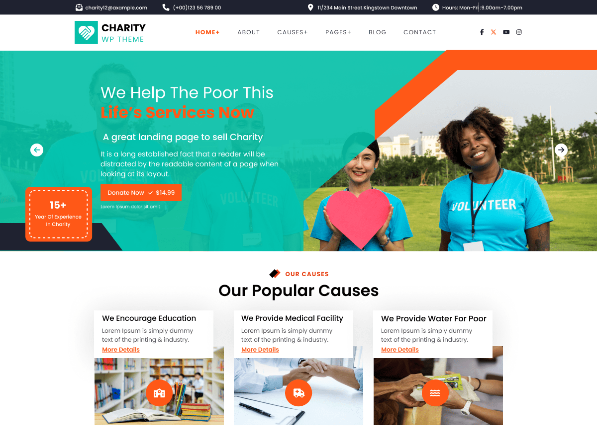 Charity Aid theme screenshot